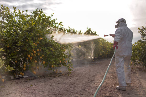 Best Pest Control Near Me in Fairchild Af, WA