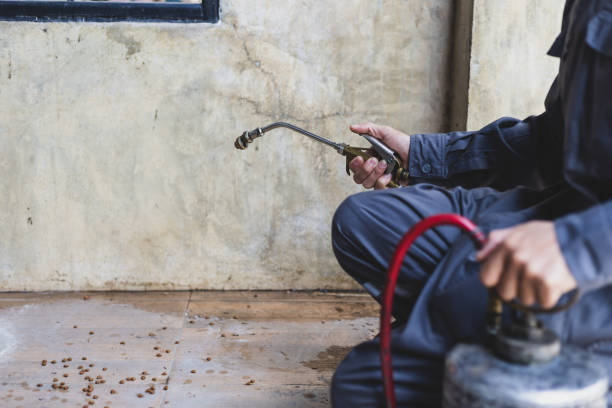 Best Mosquito Control Services  in Fairchild Af, WA