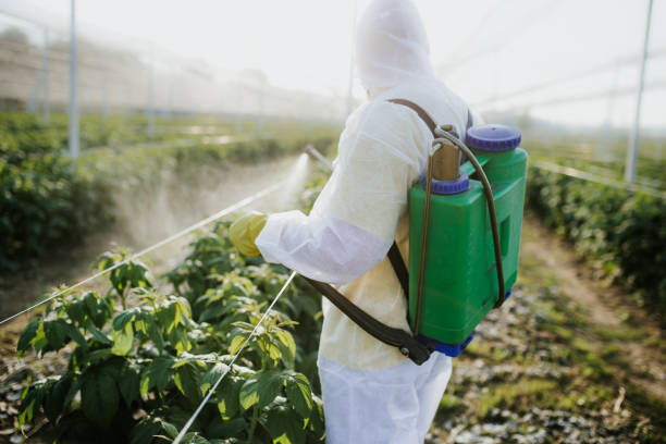 Best Residential Pest Control  in Fairchild Af, WA